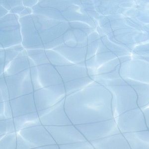 Meet your Posher, Desiree